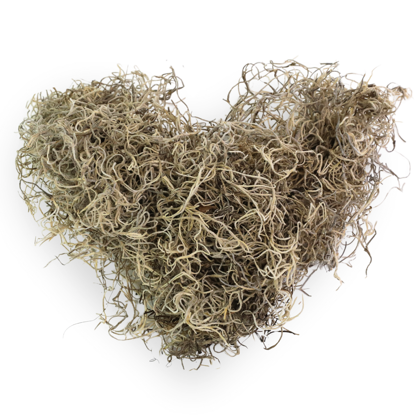 Premium Spanish Moss Mossify