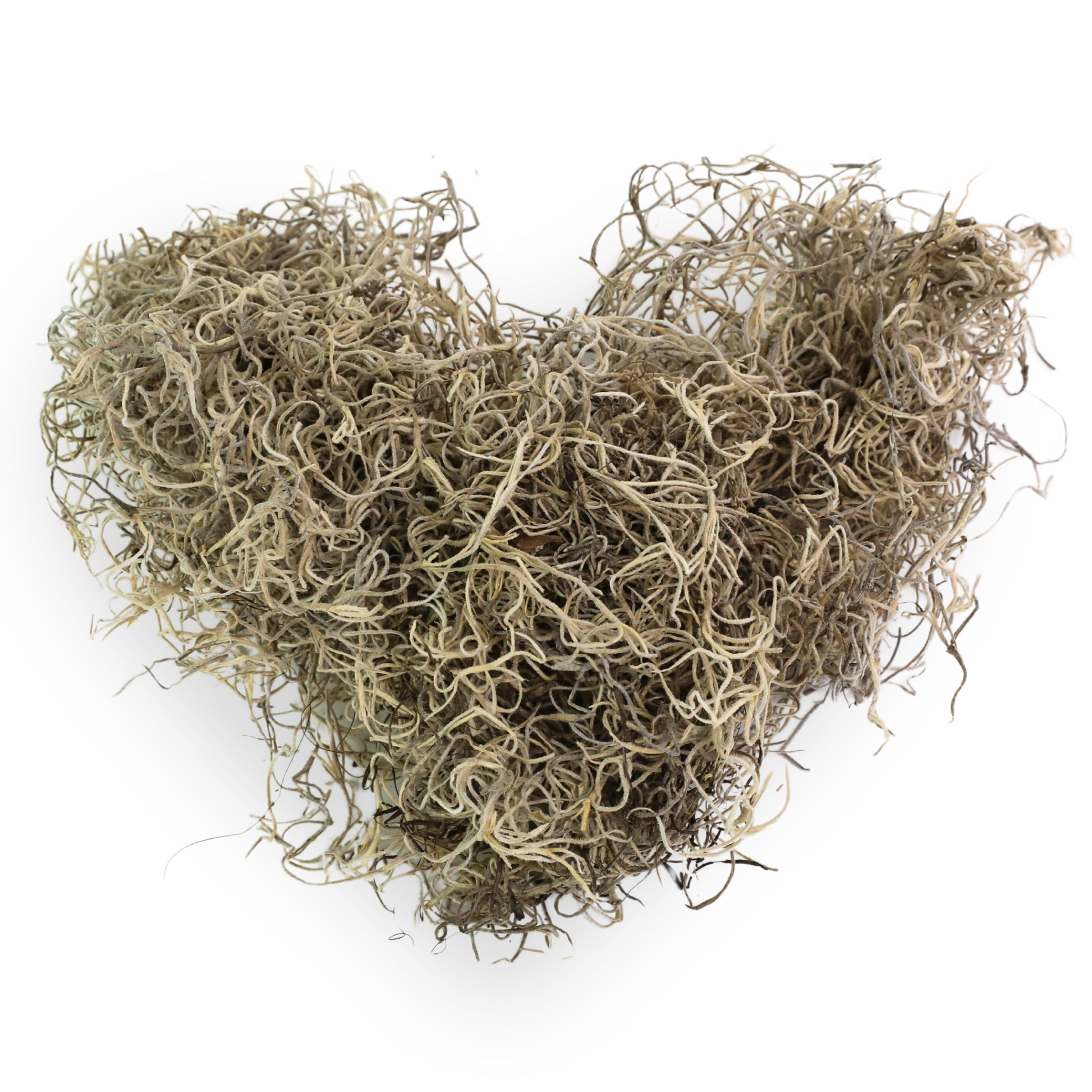 Premium Spanish Moss Mossify