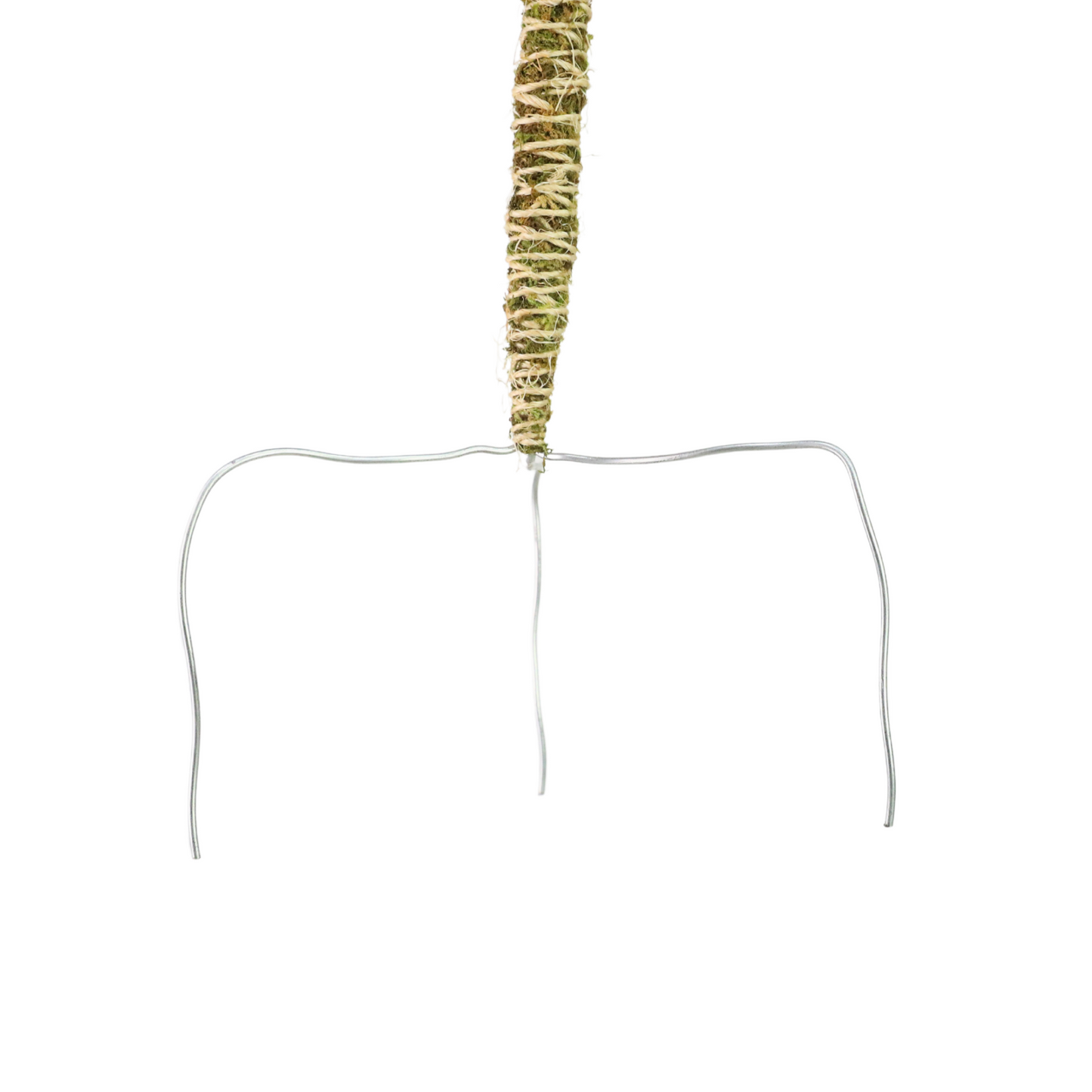 The Bendable Moss Pole™ 𝘛𝘏𝘐𝘕 Mossify