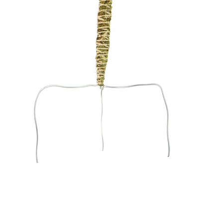 The Bendable Moss Pole™ 𝘛𝘏𝘐𝘕 Mossify