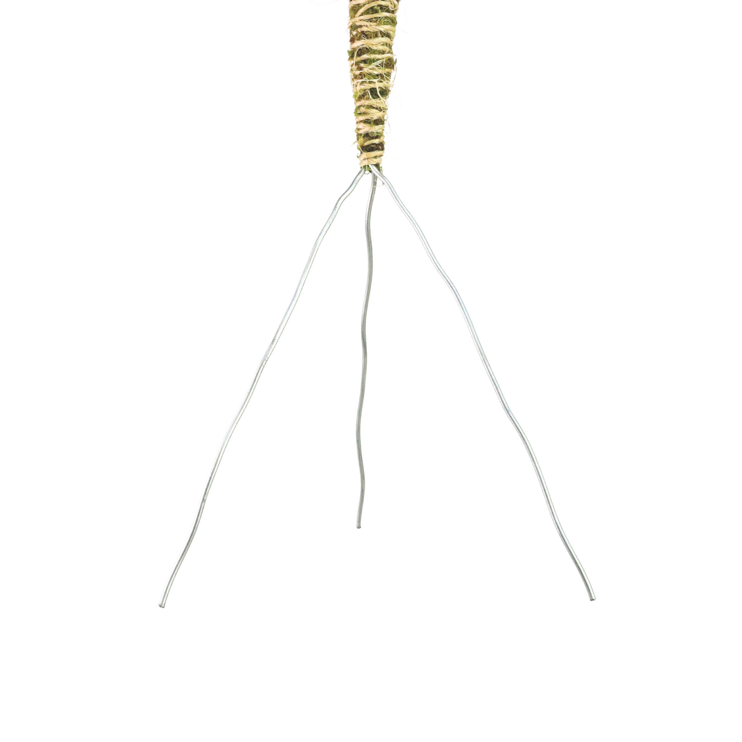 The Bendable Moss Pole™ 𝘛𝘏𝘐𝘕 Mossify
