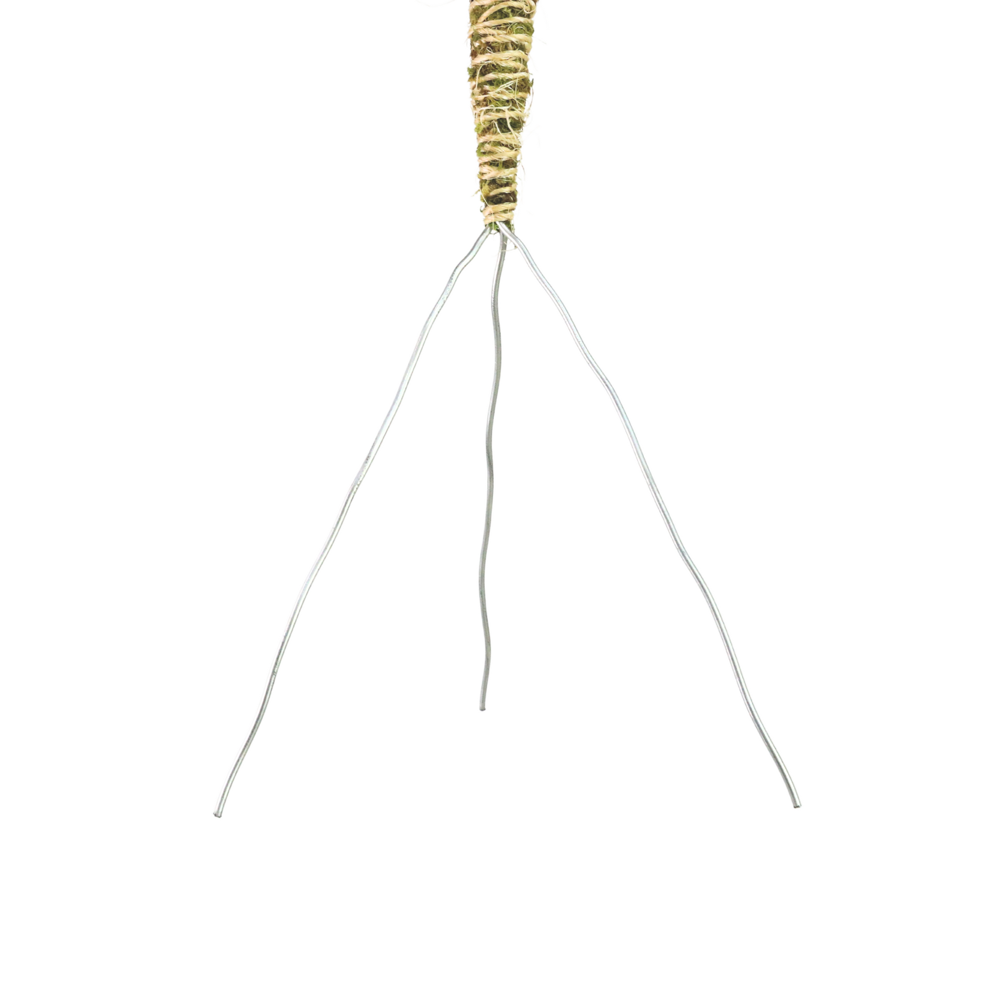 The Bendable Moss Pole™ 𝘛𝘏𝘐𝘕 Mossify