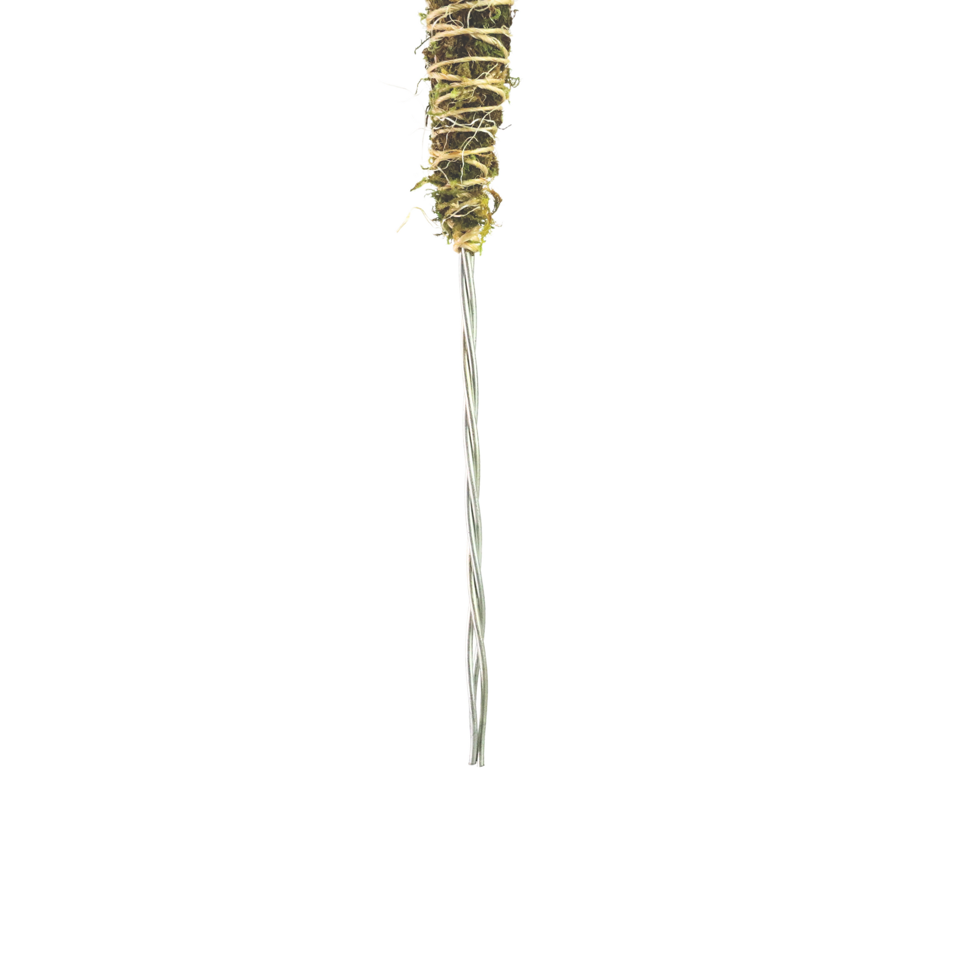The Bendable Moss Pole™ 𝘛𝘏𝘐𝘕 Mossify