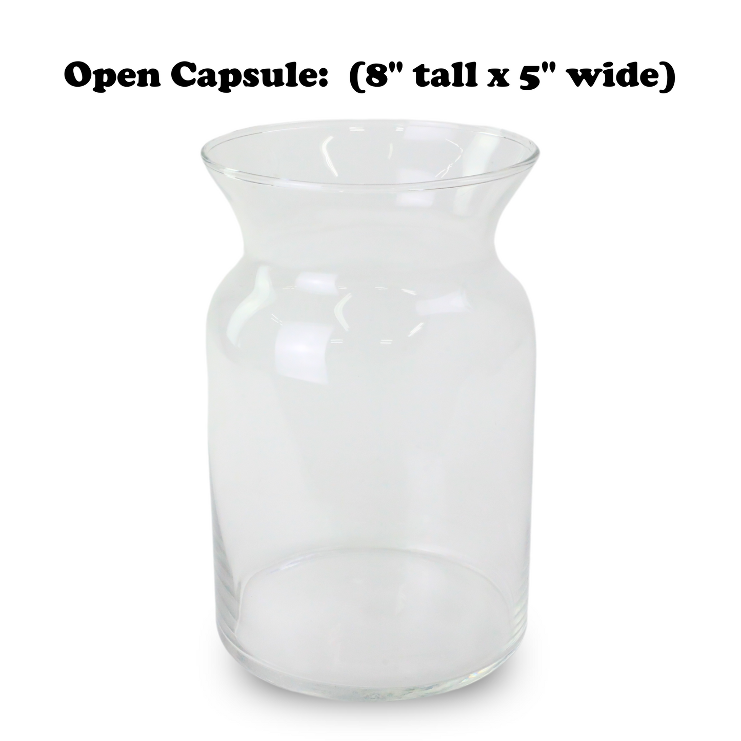 Mossify Terrarium Kit Mossify