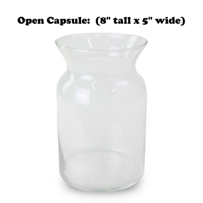 Mossify Terrarium Kit Mossify