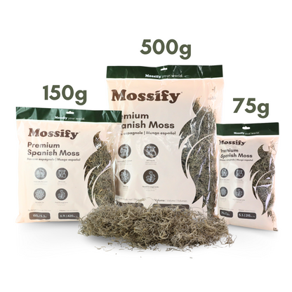 Premium Spanish Moss Mossify