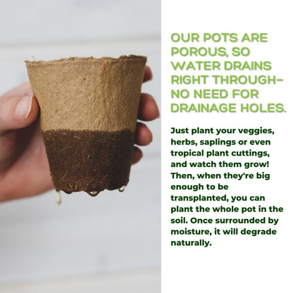 4" Naked Pots | Plantable Seed Starter Pots - Organic & Biodegradable Daniel's Plants