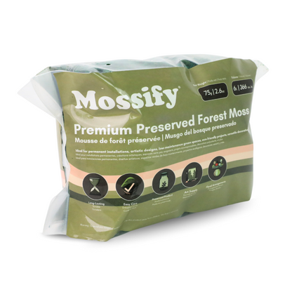 Premium Preserved Forest Moss Mossify