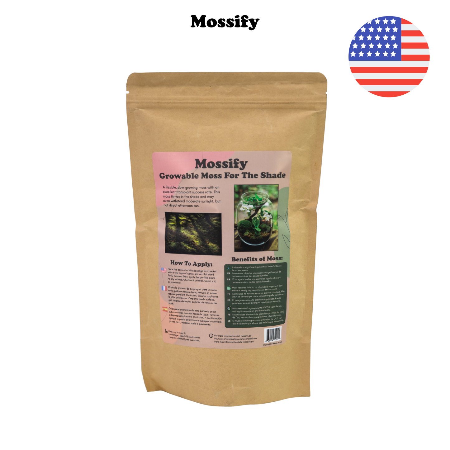 Growable Moss for the Shade Mossify