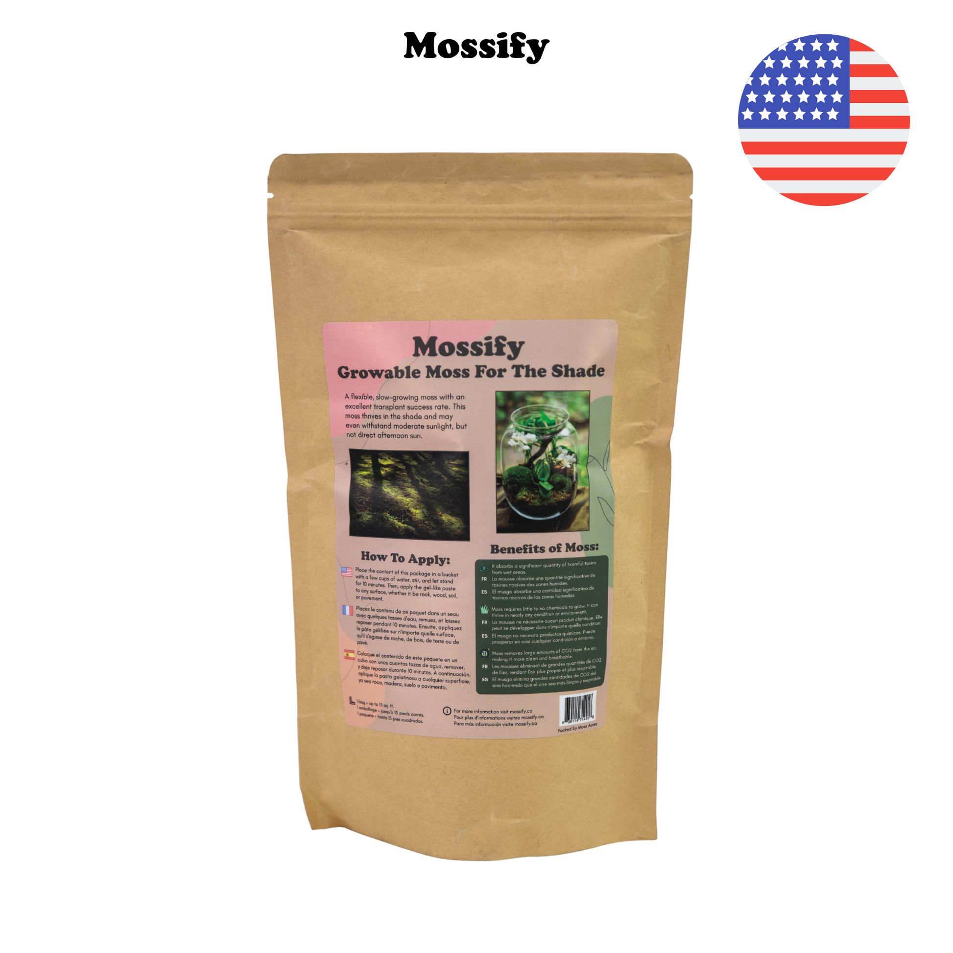 Growable Moss for the Shade Mossify