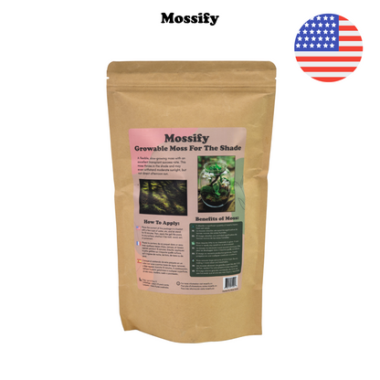Growable Moss for the Shade Mossify