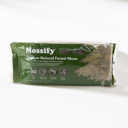 Premium Natural Forest Moss Mossify
