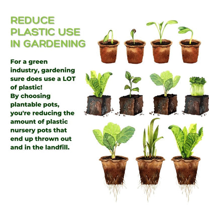 4" Naked Pots | Plantable Seed Starter Pots - Organic & Biodegradable Daniel's Plants