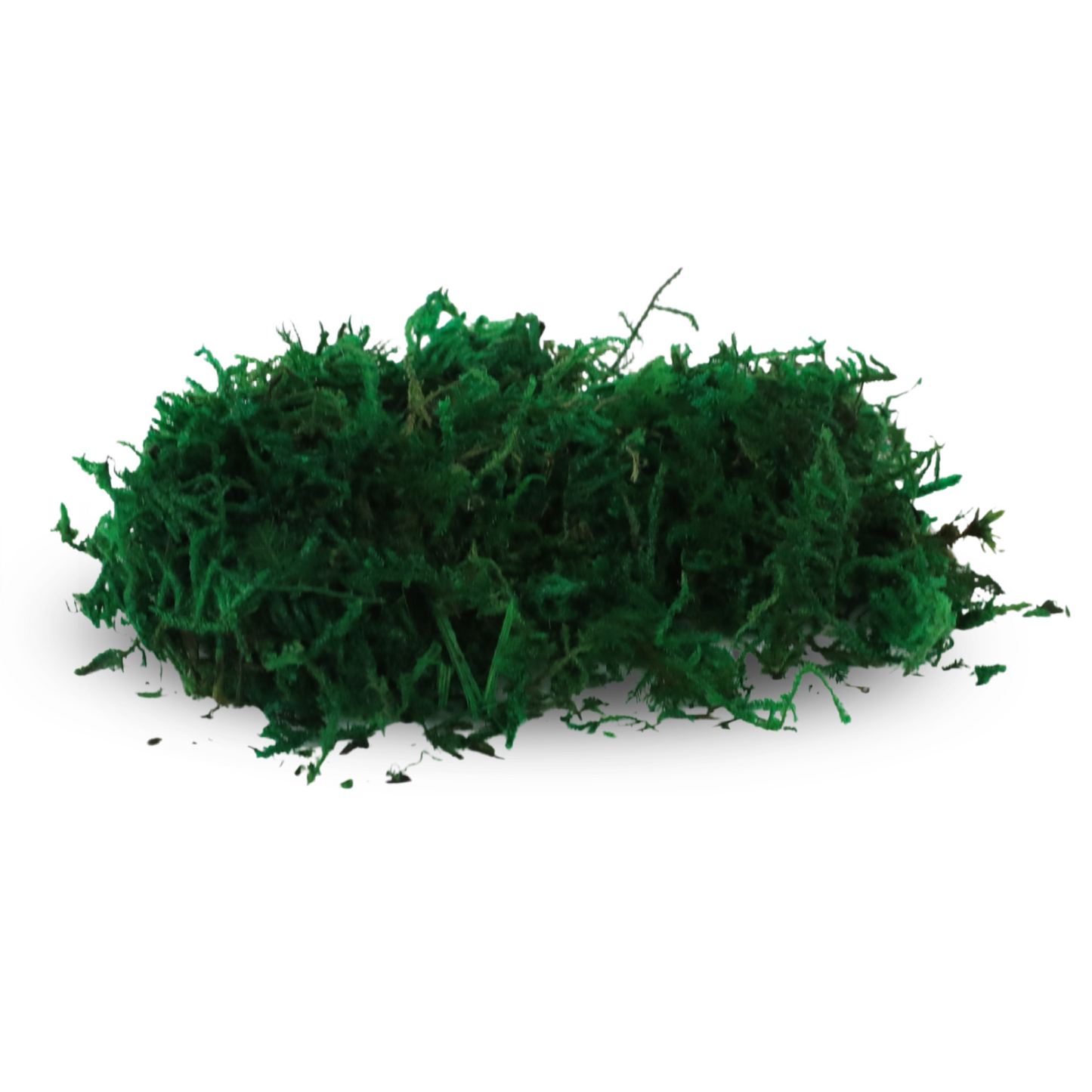 Premium Preserved Forest Moss Mossify