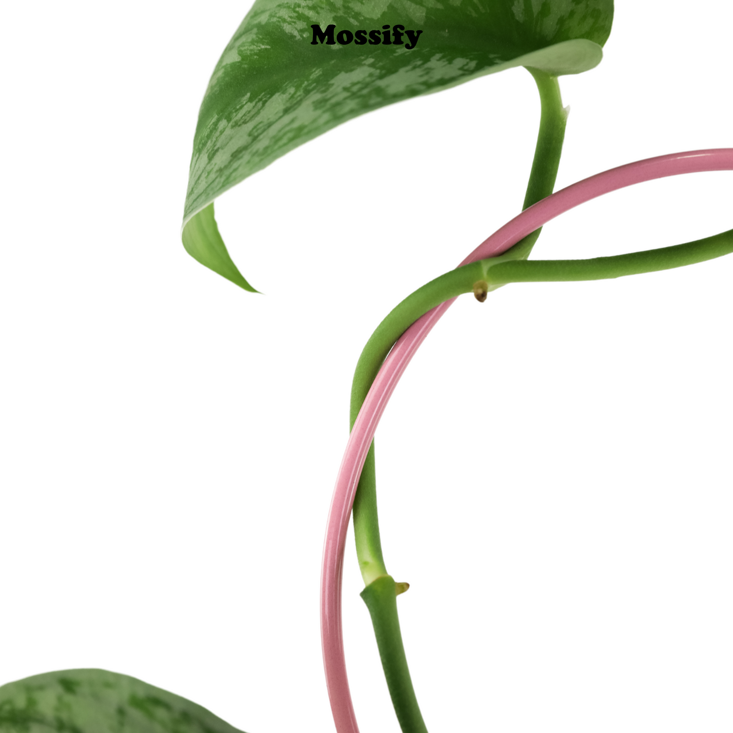 Heart "Give Love" Metal Trellis Mossify