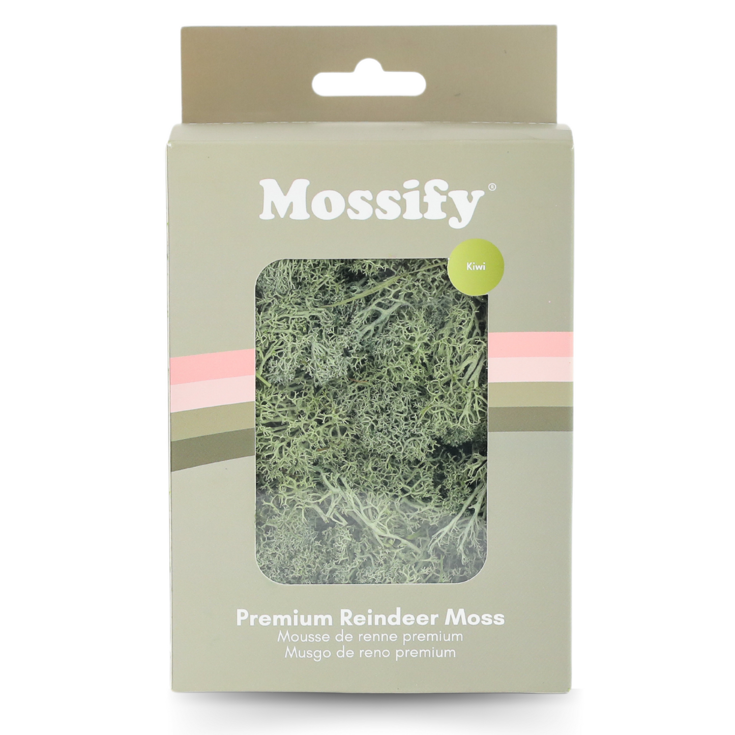 Premium Preserved Reindeer Moss Mossify
