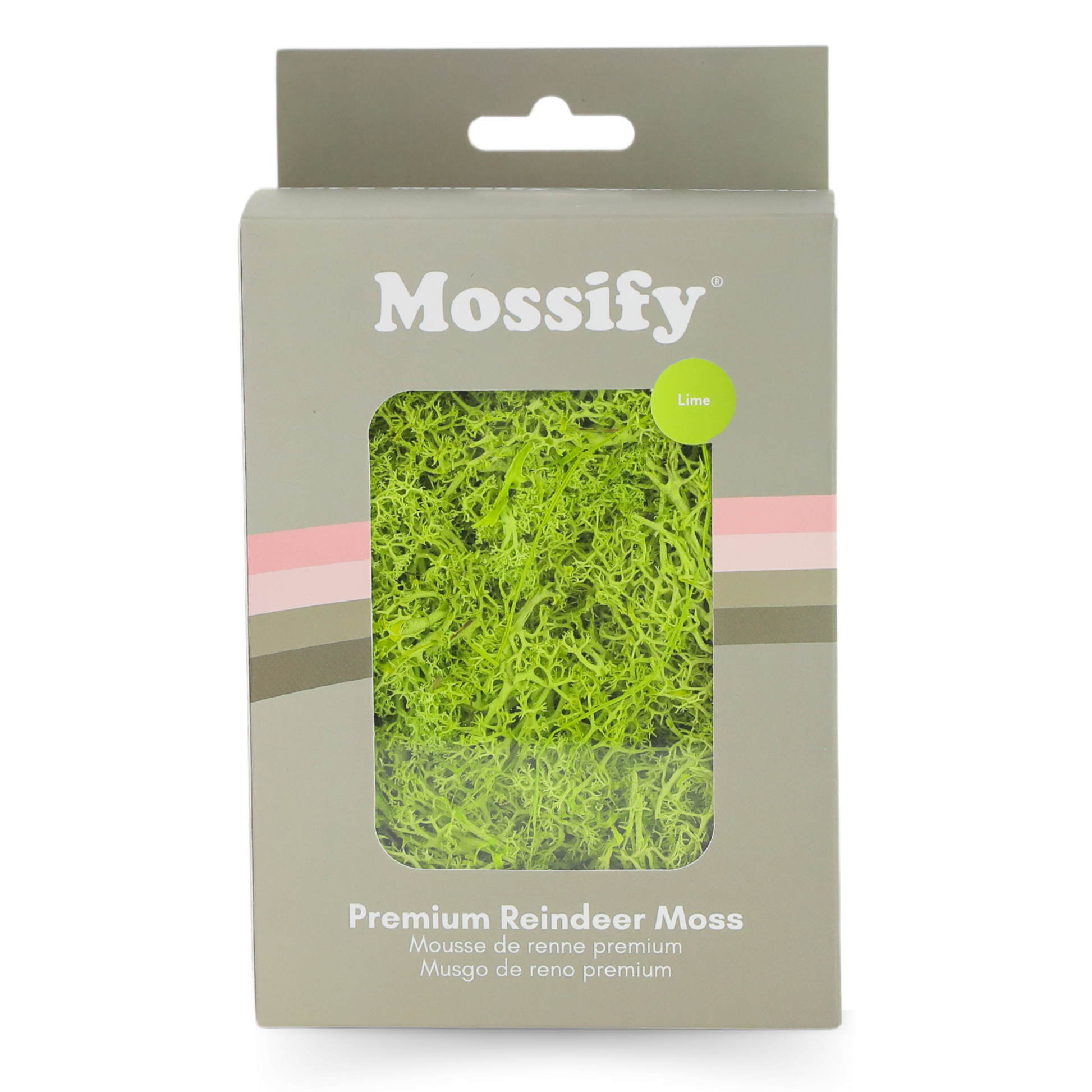 Premium Preserved Reindeer Moss Mossify