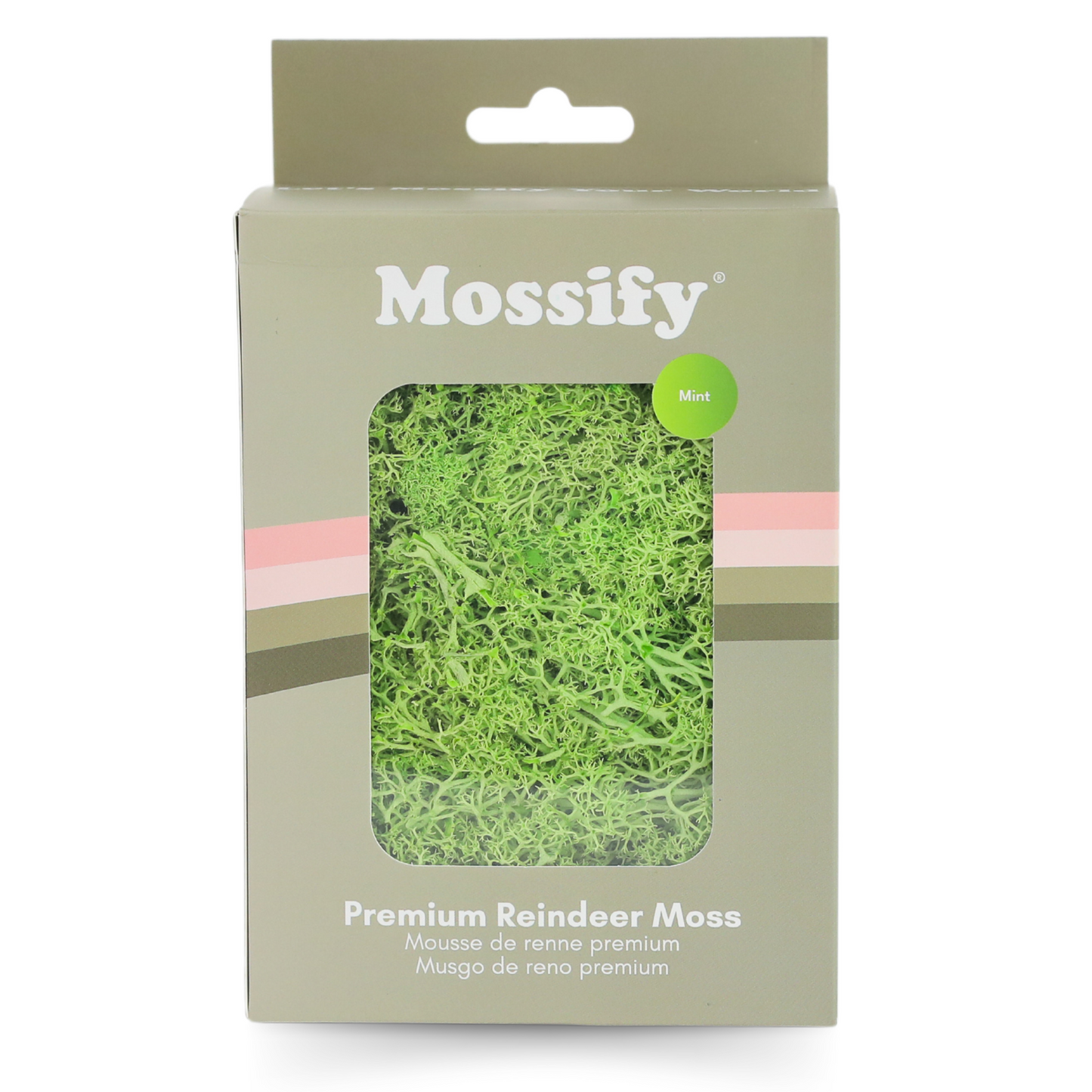 Premium Preserved Reindeer Moss Mossify