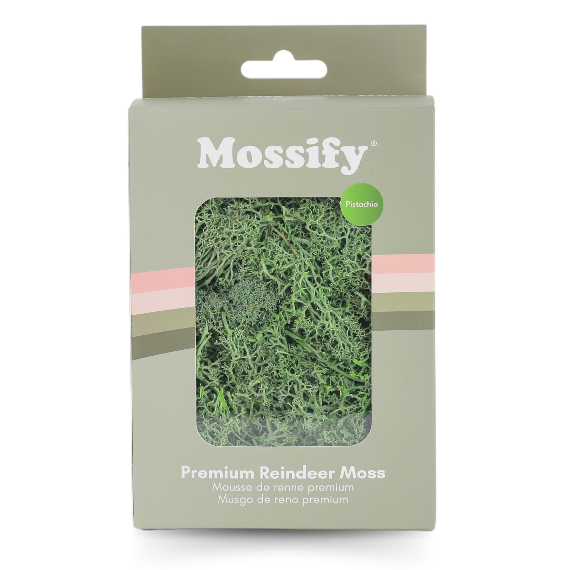 Premium Preserved Reindeer Moss Mossify