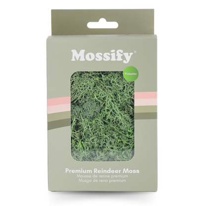 Premium Preserved Reindeer Moss Mossify