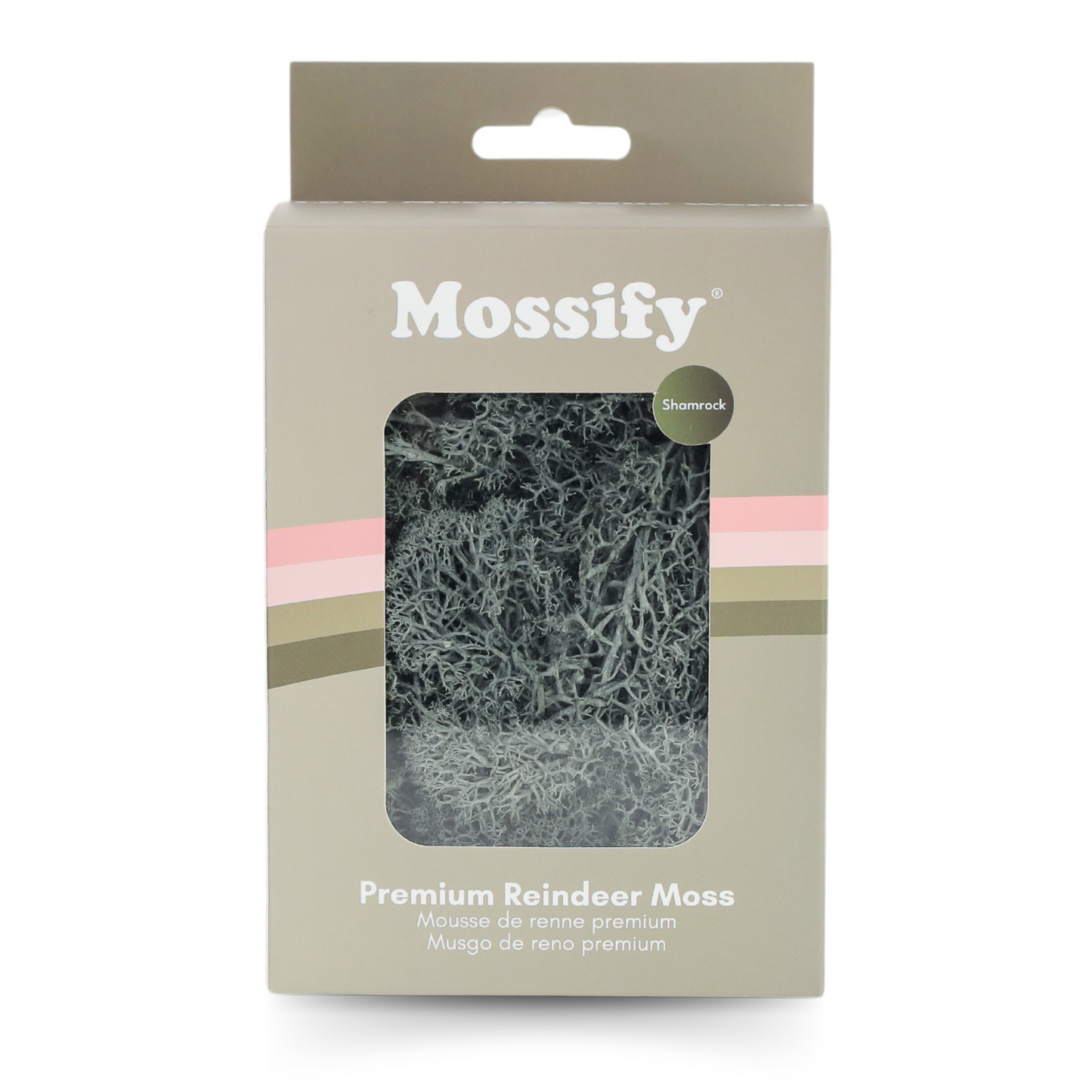 Premium Preserved Reindeer Moss Mossify