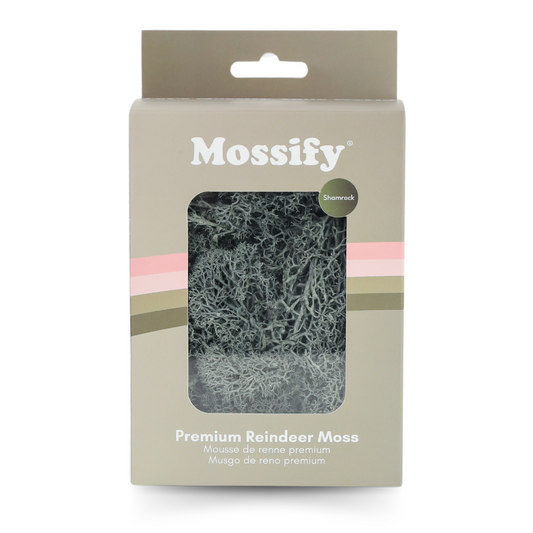 Premium Preserved Reindeer Moss Mossify