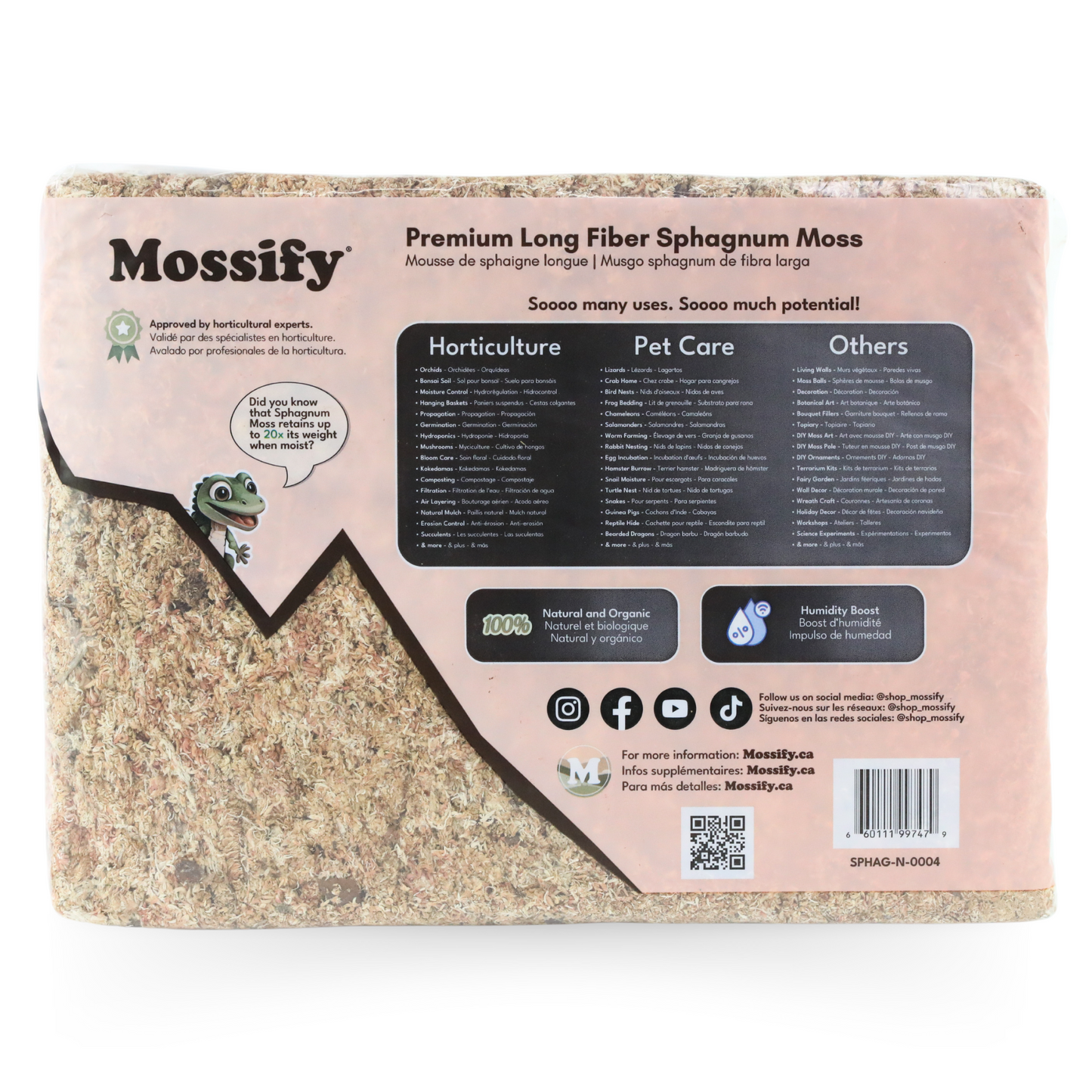Premium Sphagnum Moss Mossify