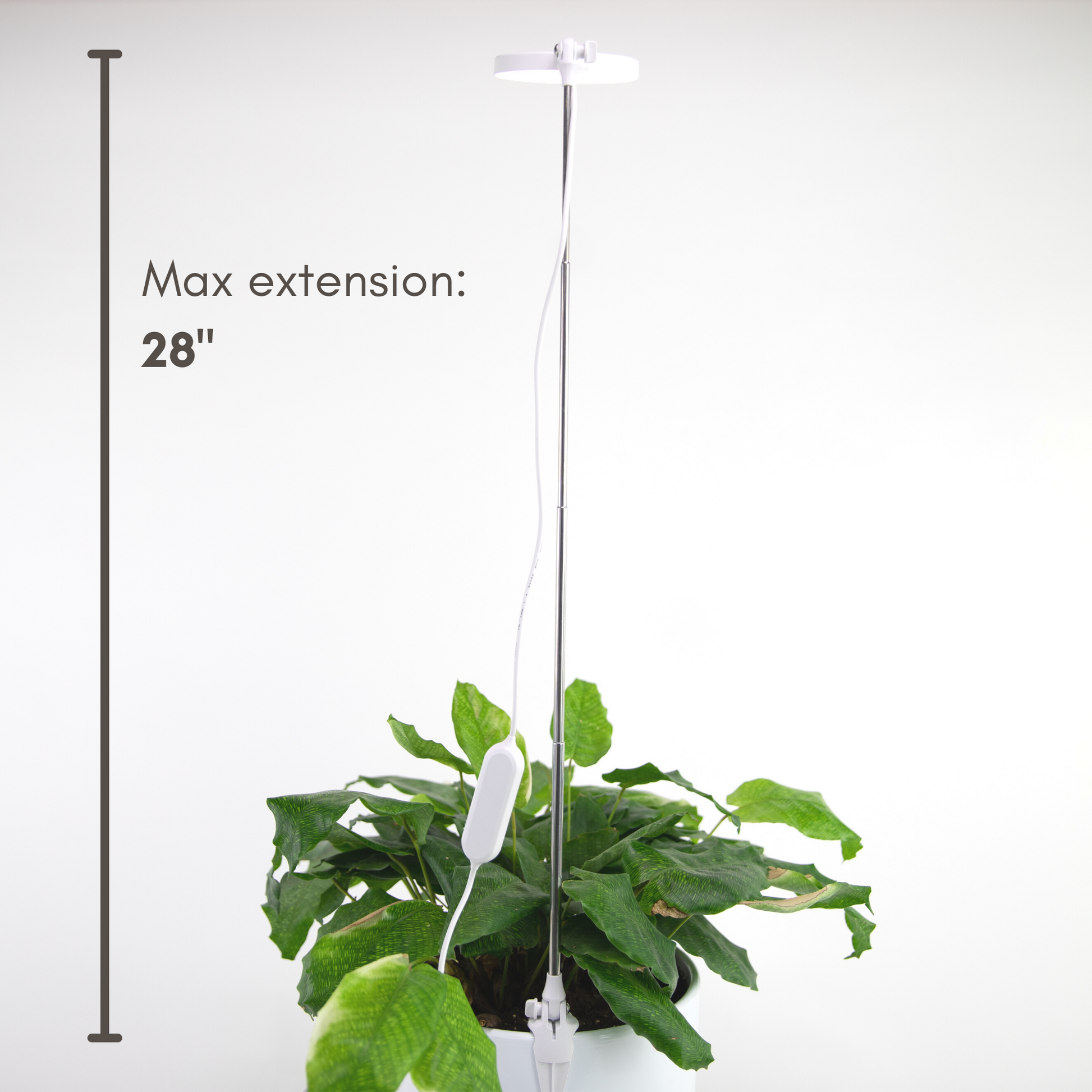 Lampe LED Ajustable pour Plantes – Mossify Mossify