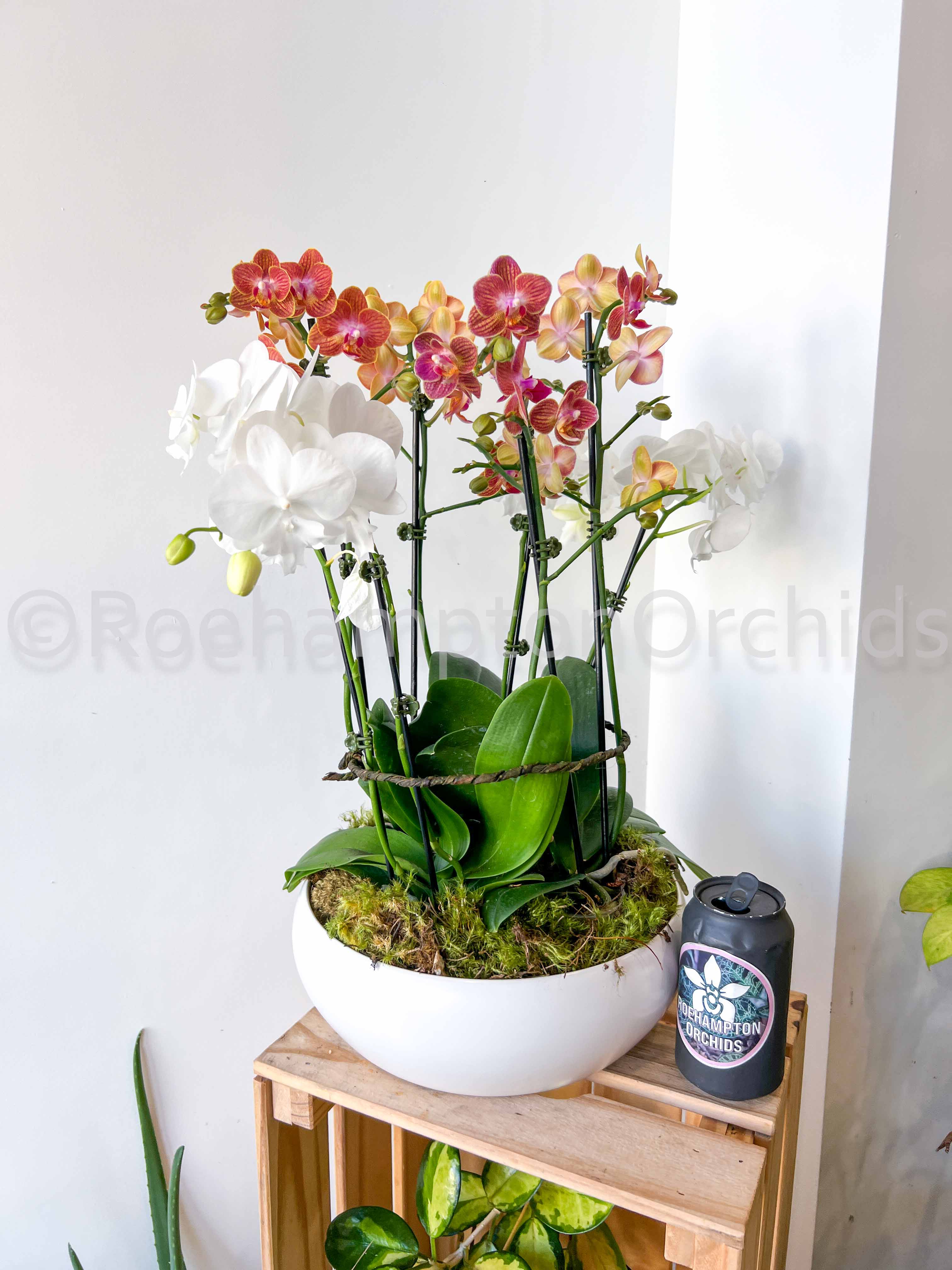 Selected Variant Image