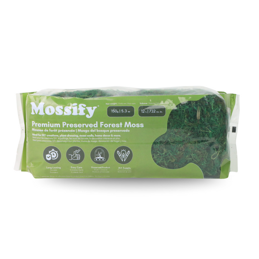 Premium Preserved Forest Moss Mossify