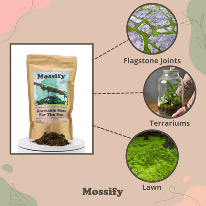 Growable Moss for the Sun Mossify