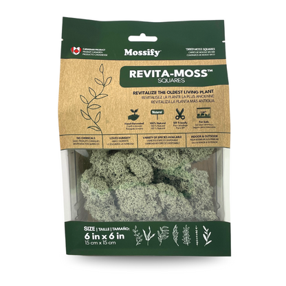 Natural Canadian Reindeer Moss - Revita-Moss Mossify