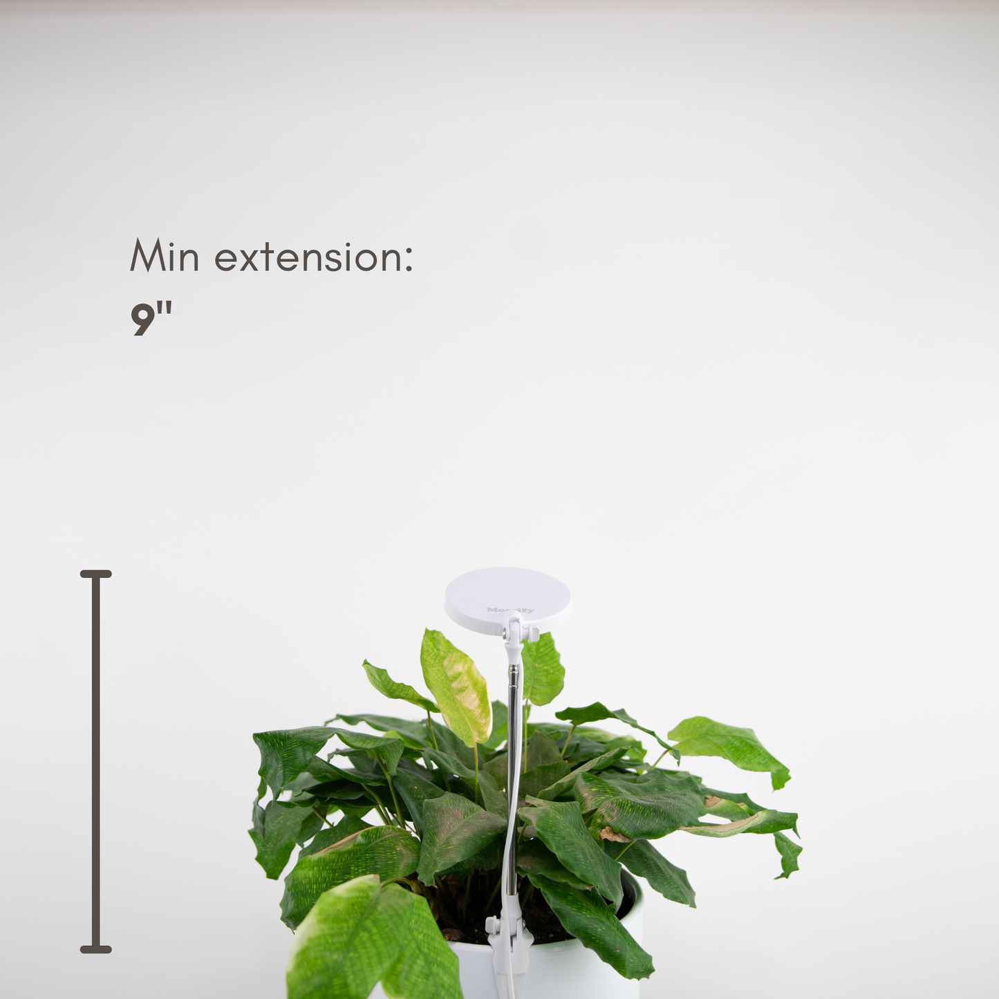 Lampe LED Ajustable pour Plantes – Mossify Mossify