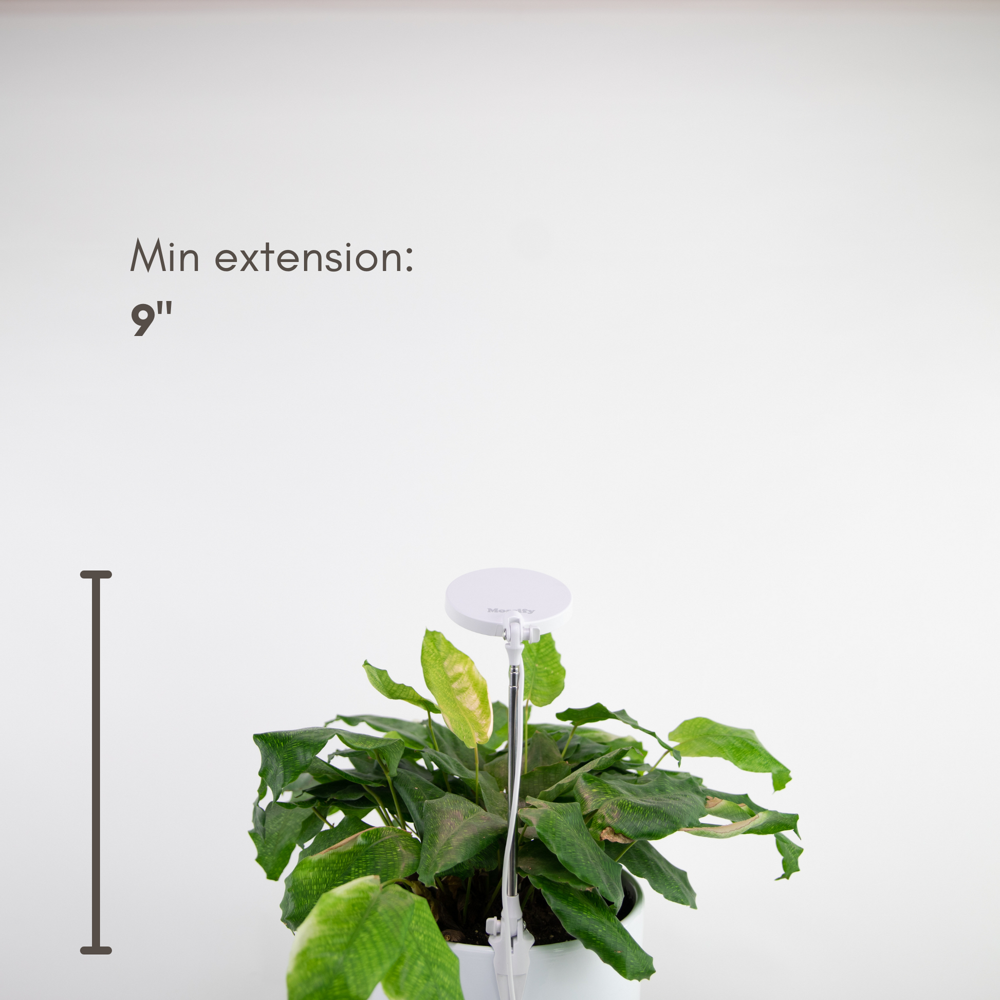 Lampe LED Ajustable pour Plantes – Mossify Mossify