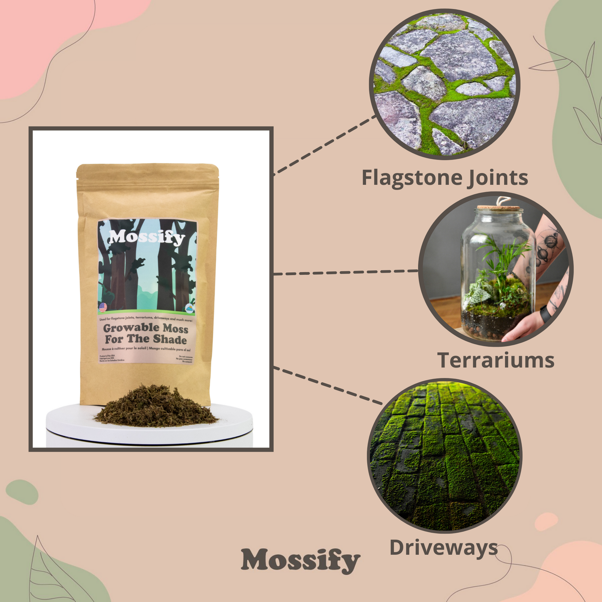 Growable Moss for the Shade Mossify