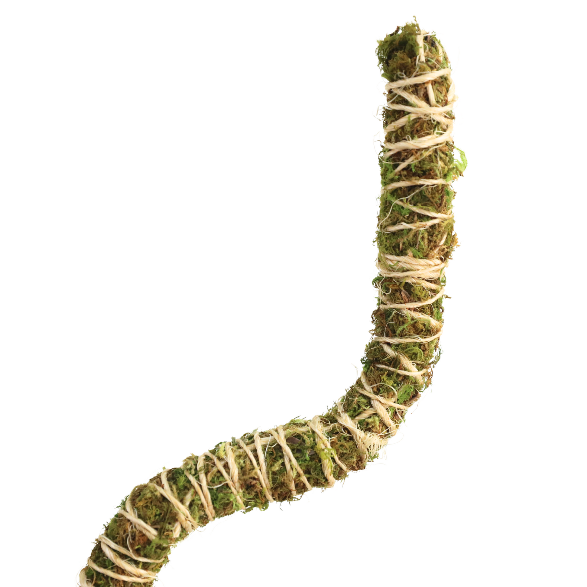 The Bendable Moss Pole™ 𝘛𝘏𝘐𝘕 Mossify