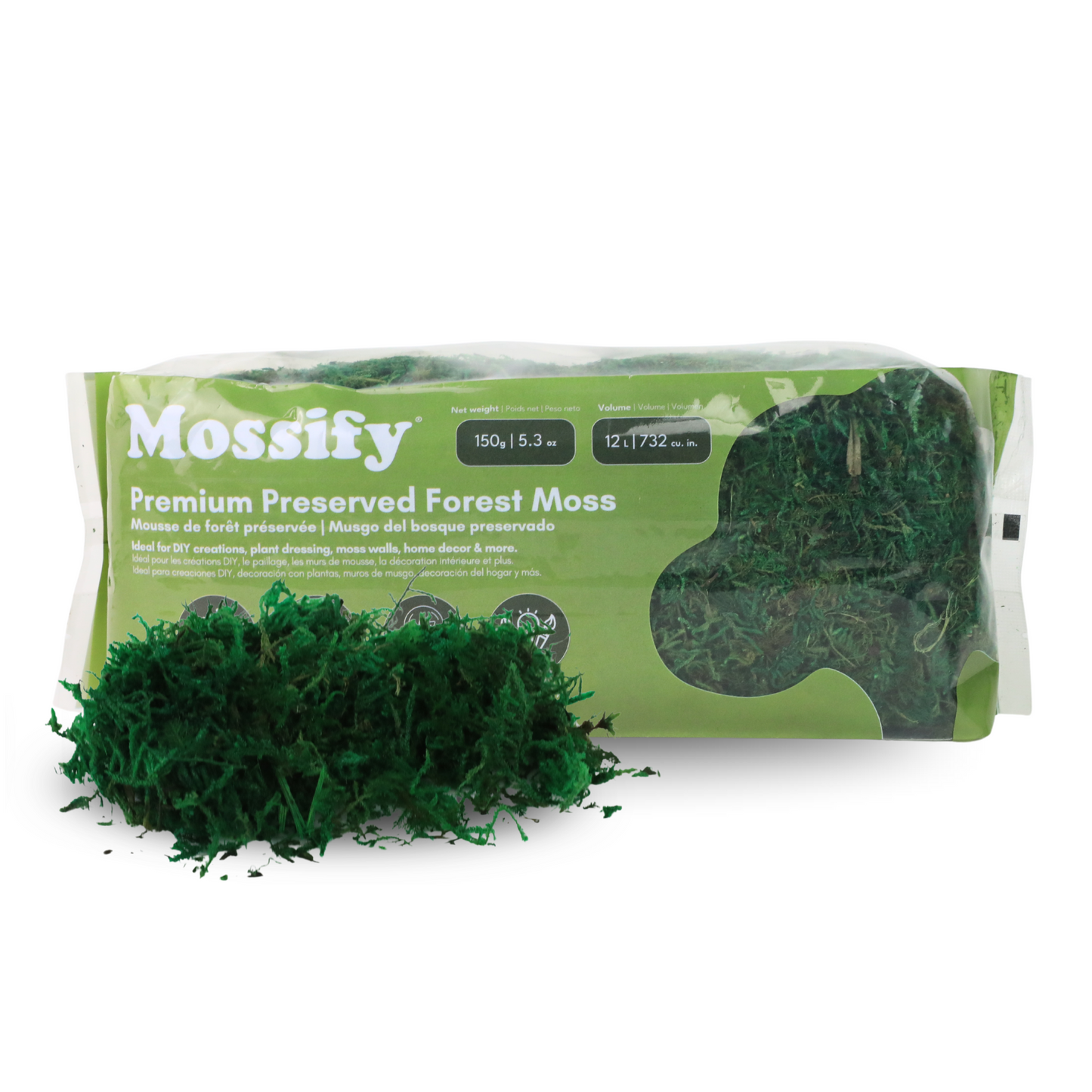Premium Preserved Forest Moss Mossify