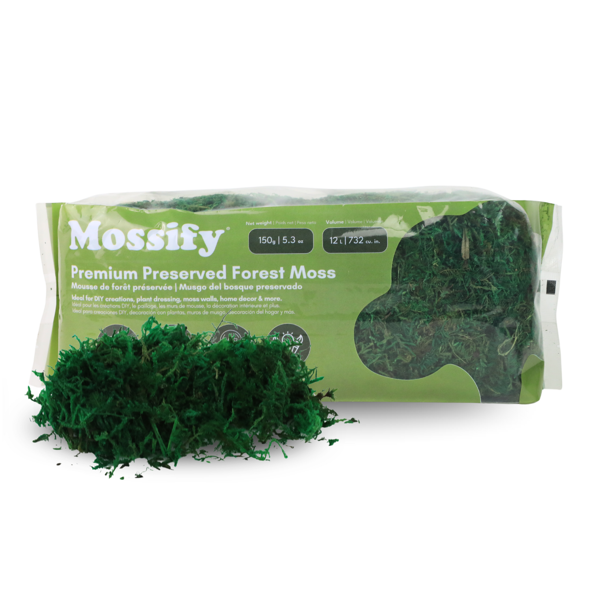 Premium Preserved Forest Moss Mossify