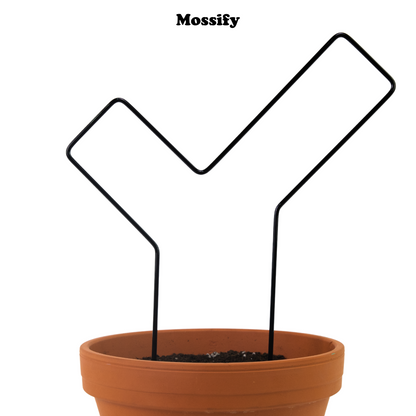 "Check Mark" Metal Trellis Mossify