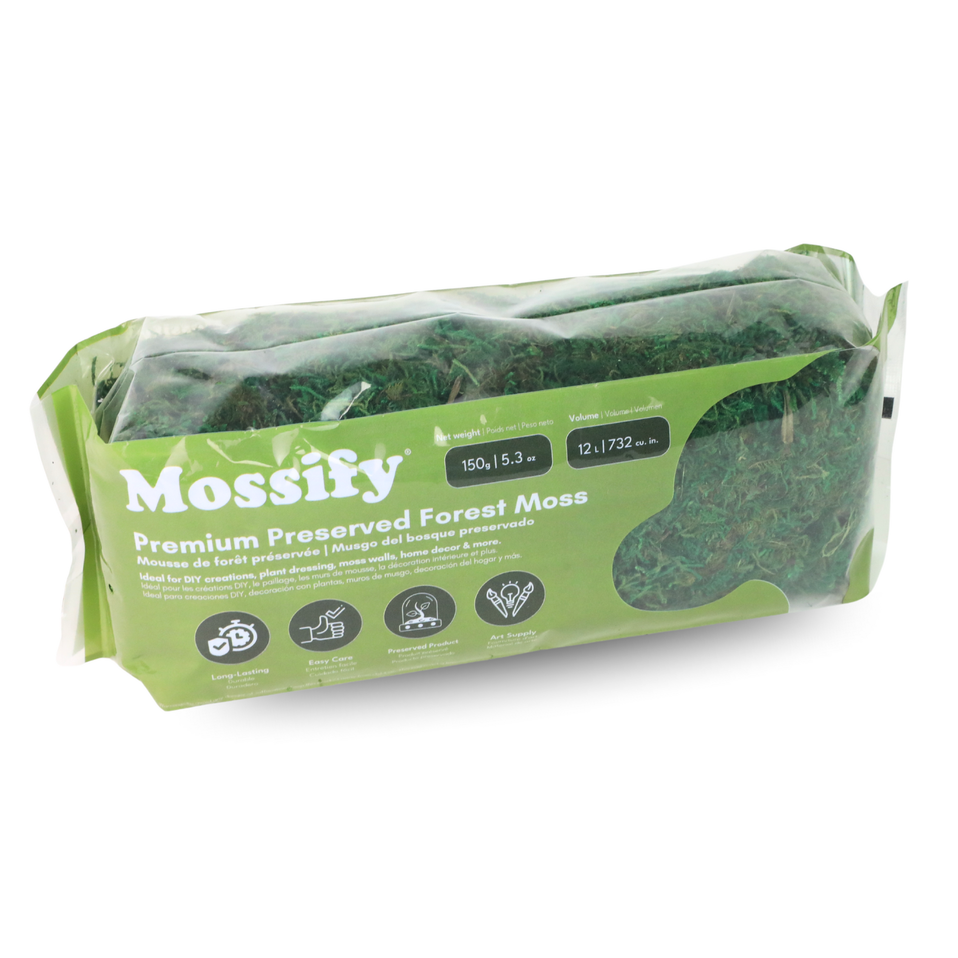 Premium Preserved Forest Moss Mossify