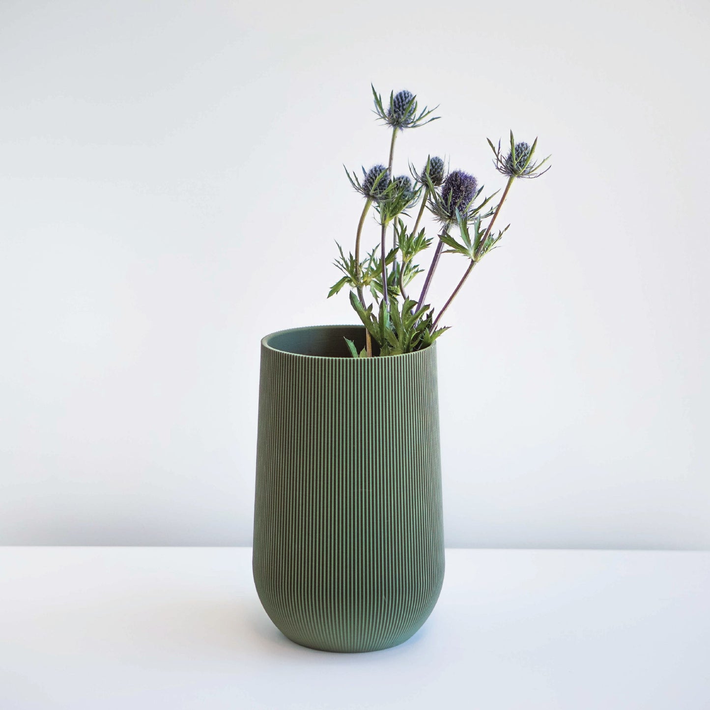 Sequoia Vase Conifer