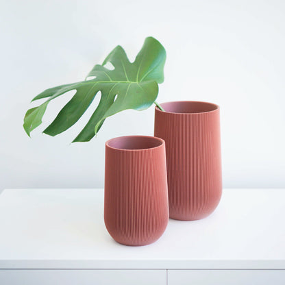 Sequoia Vase Conifer