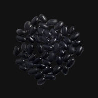 Aztec Bush Bean Metchosin Farm