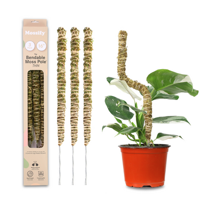 The Bendable Moss Pole™ 𝘛𝘏𝘐𝘕 Mossify