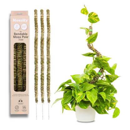 The Bendable Moss Pole™ 𝘛𝘏𝘐𝘕 Mossify