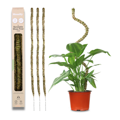 The Bendable Moss Pole™ 𝘛𝘏𝘐𝘕 Mossify