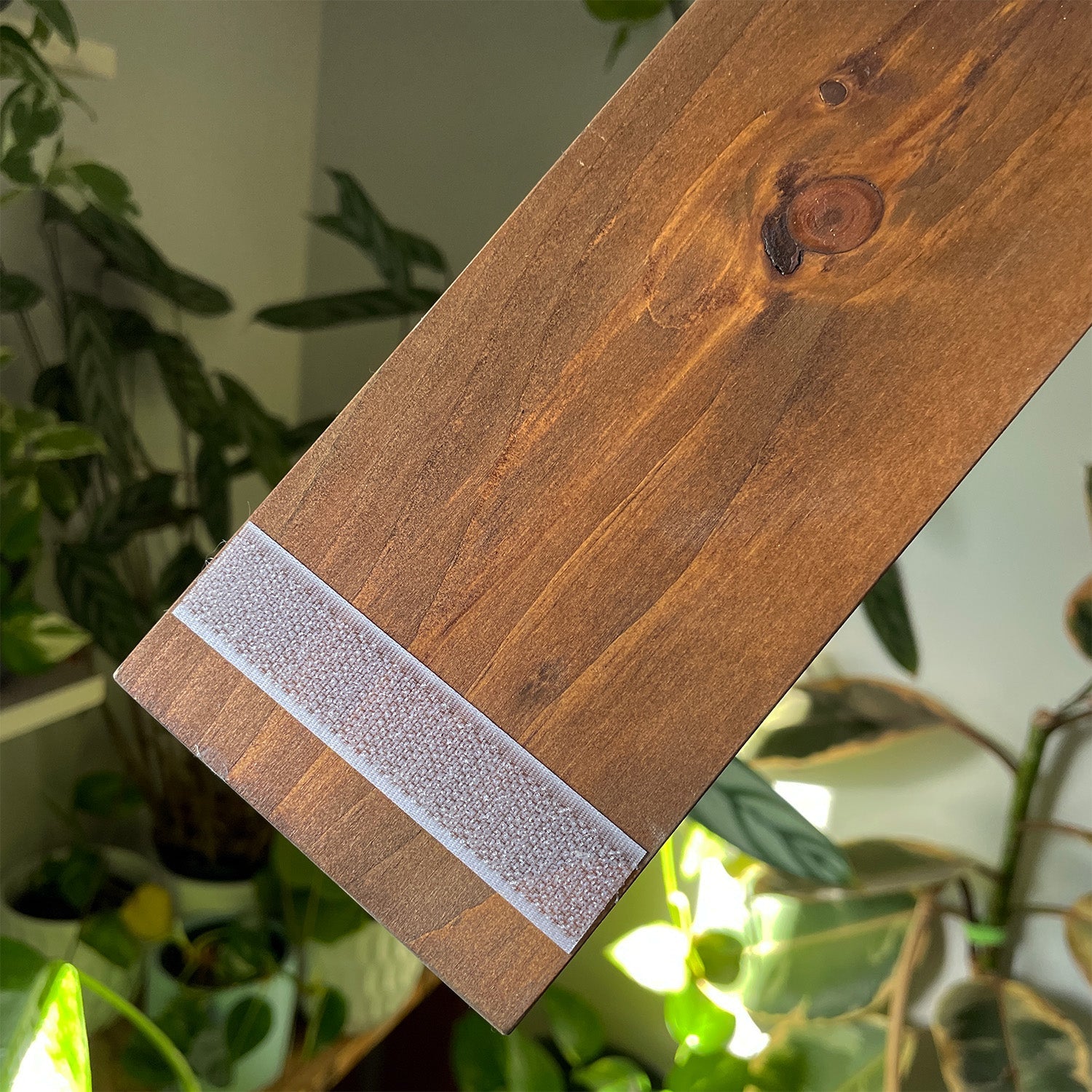 Renter-Friendly Window Shelf | Woodland Brown with Tempered Glass Daniel's Plants