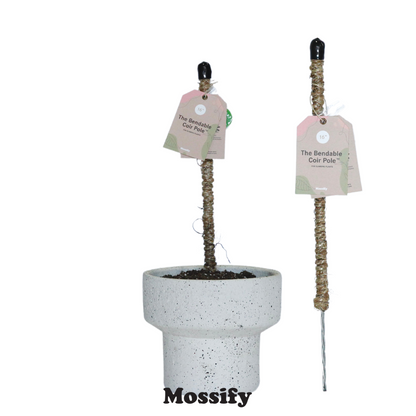 The Original Bendable Coir Pole™ - Best Seller (Tape Included) Mossify
