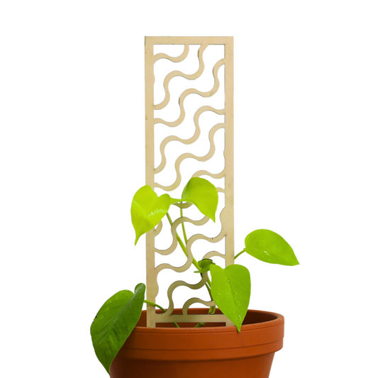 Copacabana Wooden Trellis Mossify