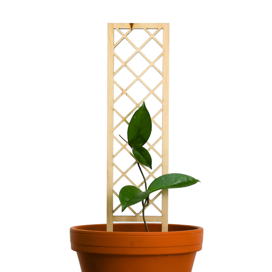 Cross-Hatch Wooden Trellis Mossify
